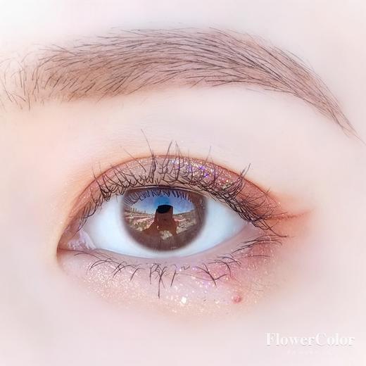 FLOWER COLOR 硅水凝胶 眸光巧 14.0mm 商品图0