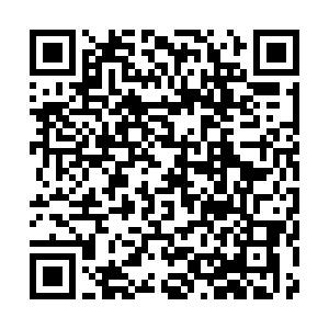 商品预售 商品图1