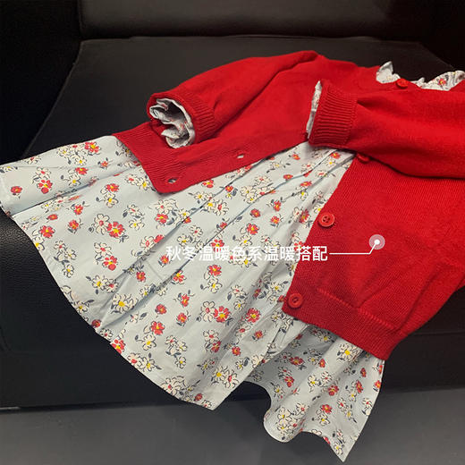 fx- 点点-一条可以搭配所有衣服的碎花连衣裙！ cgq927 商品图9