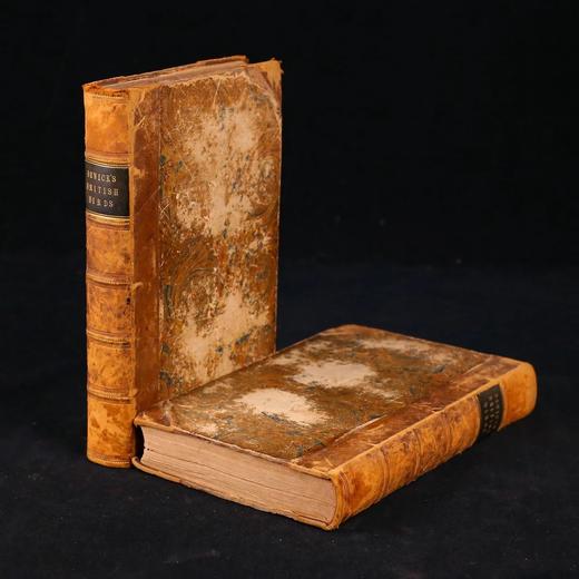 1832年 比维克《英国鸟类史》（全2卷） 近200幅版画插图 皮装 商品图1