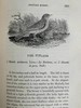 1832年 比维克《英国鸟类史》（全2卷） 近200幅版画插图 皮装 商品缩略图7