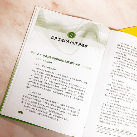 制浆造纸行业非木浆BAT/BEP设计手册 商品图4
