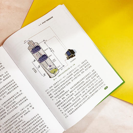 制浆造纸行业非木浆BAT/BEP设计手册 商品图5