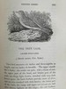 1832年 比维克《英国鸟类史》（全2卷） 近200幅版画插图 皮装 商品缩略图8