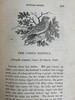 1832年 比维克《英国鸟类史》（全2卷） 近200幅版画插图 皮装 商品缩略图13