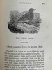 1832年 比维克《英国鸟类史》（全2卷） 近200幅版画插图 皮装 商品缩略图9
