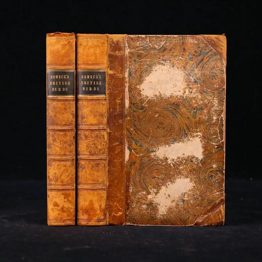 1832年 比维克《英国鸟类史》（全2卷） 近200幅版画插图 皮装 商品图0