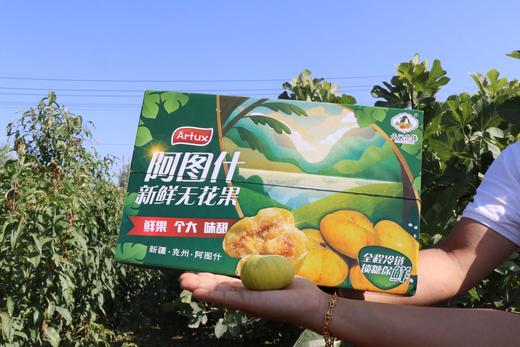 无花果12枚，氮气包装顺丰包邮 商品图2
