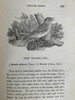 1832年 比维克《英国鸟类史》（全2卷） 近200幅版画插图 皮装 商品缩略图6