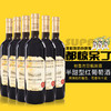 安世雅·金兹玛拉乌里 商品缩略图1
