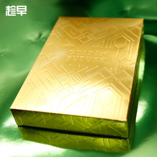 【趁早文创】趁早2020效率手册GoldenFuture盲盒限量款【拆封后不可退换】 商品图14