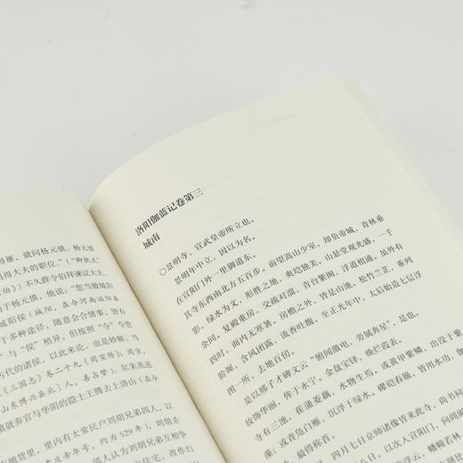 洛阳伽蓝记校释今译（北朝文学双璧之一 假佛寺之名，志帝京之事 从历史、地理、建筑、风俗等多角度呈现北魏洛阳风貌 周振甫先生晚年倾心释译） 商品图3