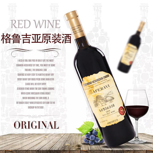 安世雅·萨别拉维 商品图2