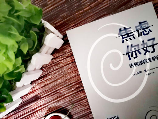 焦虑你好 抗焦虑手册 安珀雷 著  中信出版社图书 正版书籍 商品图7
