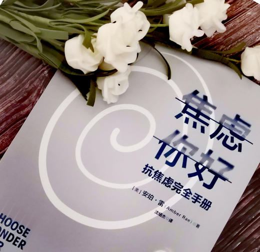 焦虑你好 抗焦虑手册 安珀雷 著  中信出版社图书 正版书籍 商品图6