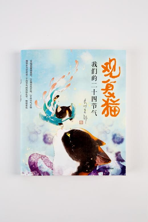 观复猫 我们的二十四节气 马未都 著  观复猫萌照和节气 文物知识 中信出版社图书 正版书籍 商品图4