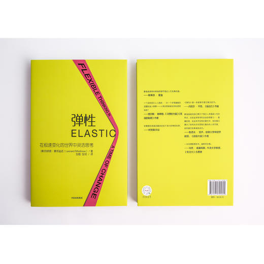 【樊登推荐】弹性 在急速变化的世界中灵活思考 列纳德蒙洛迪诺 著 弹性思维 中信出版社图书 正版书籍 商品图5