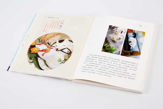 观复猫 我们的二十四节气 马未都 著  观复猫萌照和节气 文物知识 中信出版社图书 正版书籍 商品图7