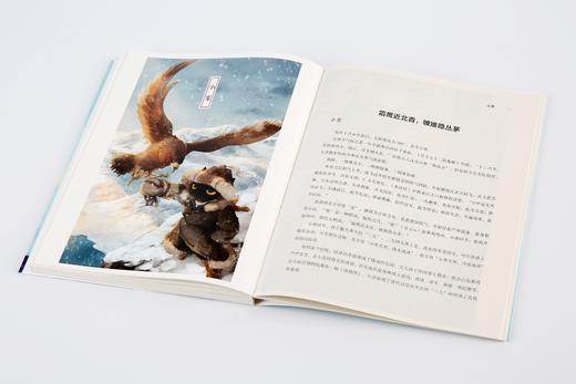 观复猫 我们的二十四节气 马未都 著  观复猫萌照和节气 文物知识 中信出版社图书 正版书籍 商品图9