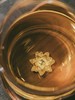 公道杯-玻璃公道杯-不觉堂观山系列-墨者、心莲、凝鱼 商品缩略图3