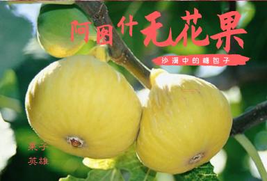 无花果12枚，氮气包装顺丰包邮 商品图1
