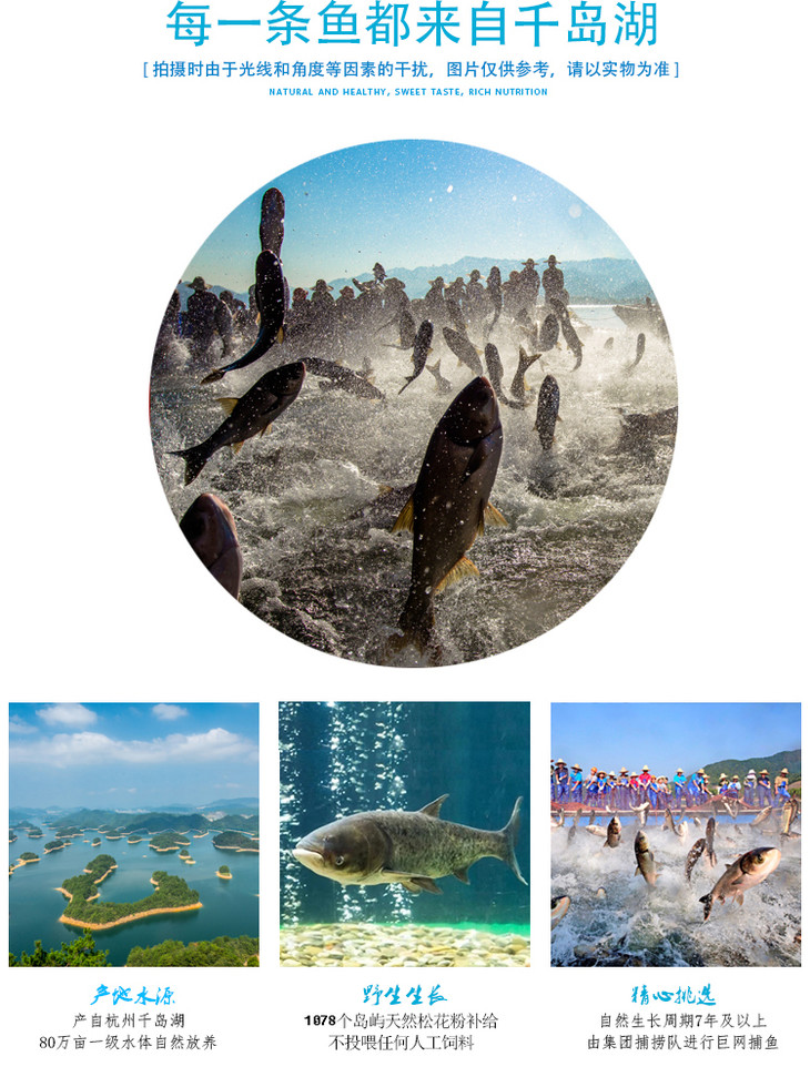 【直供江浙沪】千岛湖冰鲜—剁椒鱼头