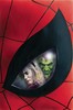 变体 惊世奇人 Marvels Annotated 商品缩略图1