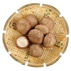 新鲜香菇300g±20g【团购价6.6元/份】
