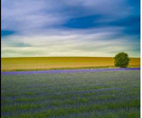 DXEQ哈哈 商品图0