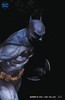蝙蝠侠V3 主刊 Batman V3（2016） 001-083 变体 商品缩略图7