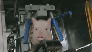 恩佐的实物商品05