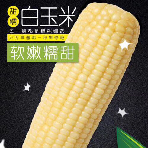 东北甜糯玉米 金奖销量王，香糯甜 ，非转基因，农场有机种植，粗纤维营养早餐，
