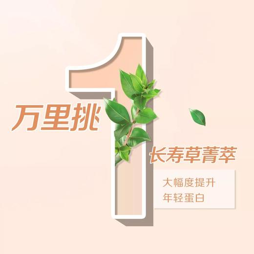 雅姿恒时凝颜精华乳/30毫升/抚平细纹/隐匿皱纹/肌肤重给光泽润滑紧实的年轻状态 商品图5