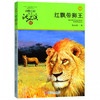 红飘带狮王升级版 动物小说大王沈石溪品藏书系 浙江少年儿童儿童 商品缩略图0