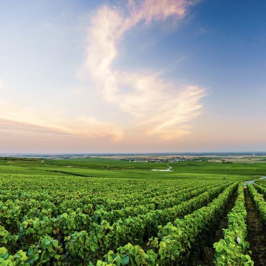 槟客旅行 | 24小时玩转香槟区 商品图0