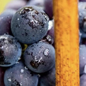 槟客旅行 | 香槟区采摘一日游