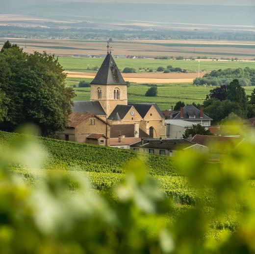 槟客旅行 | 香槟区三天两晚『印象』之旅 商品图0