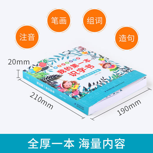 我的第一本识字书 商品图2