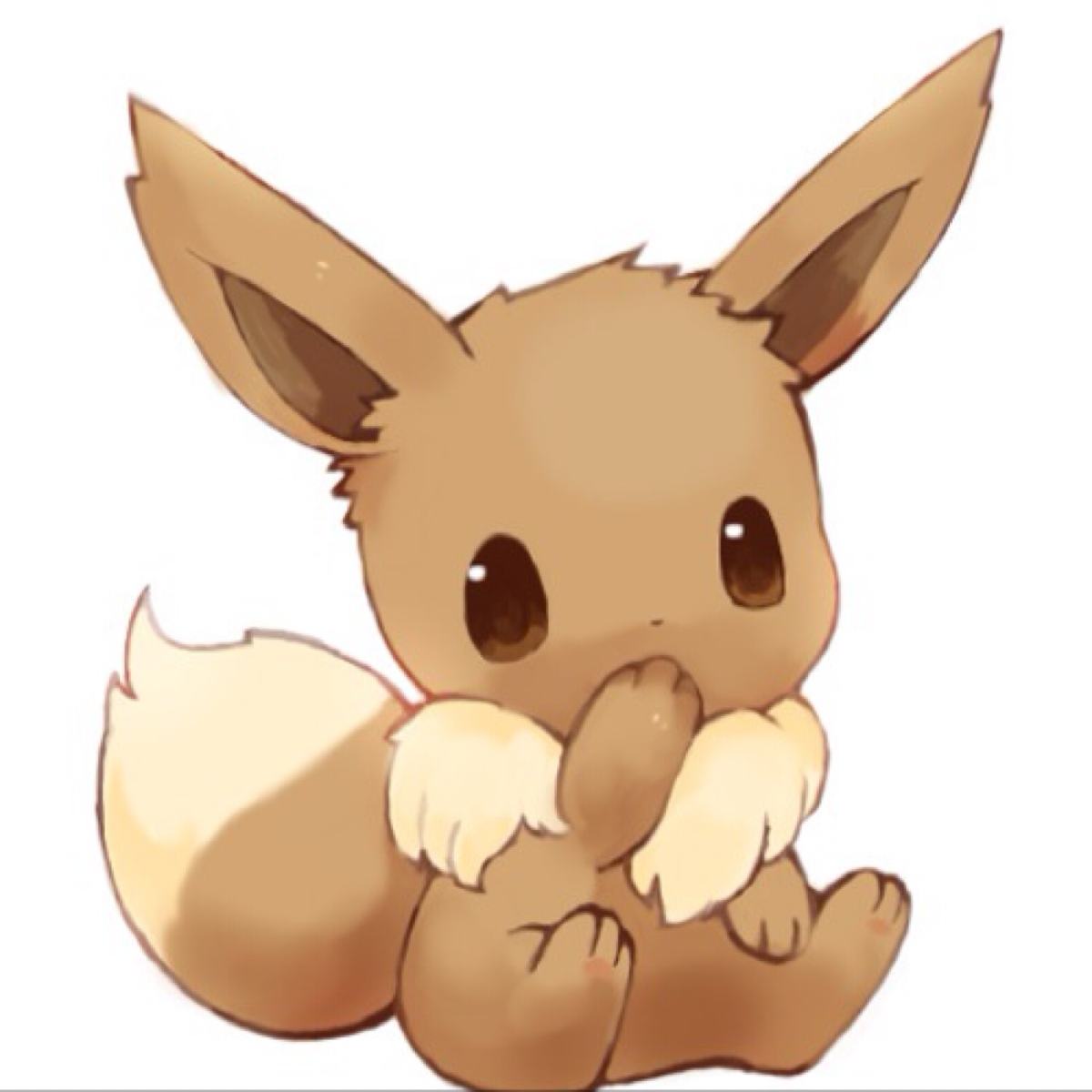 晓真伊布