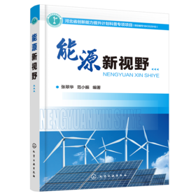 能源新视野