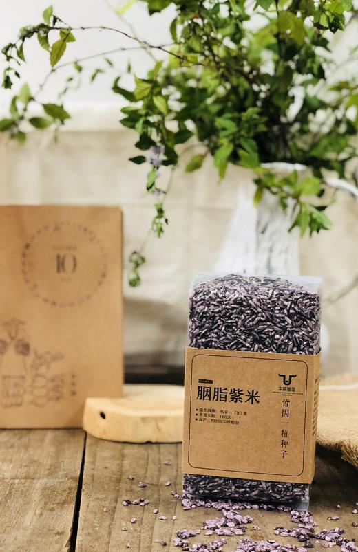 黔东南 黎平【牛耕部落 胭脂紫米】500g/袋 贵州省内包邮 商品图0