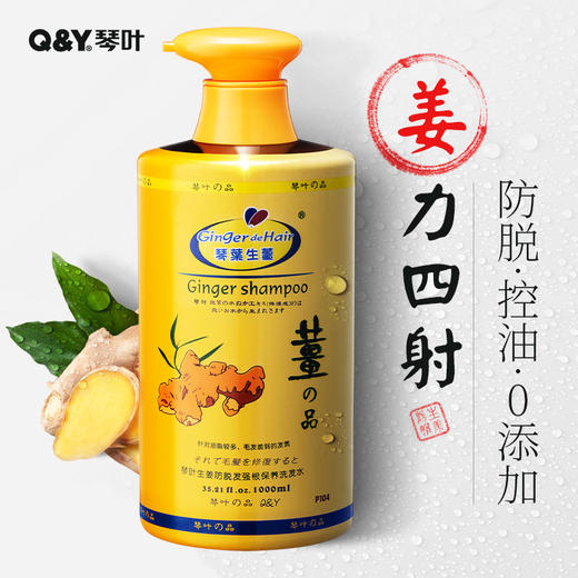 姜力四射——琴叶生姜洗发水 商品图0