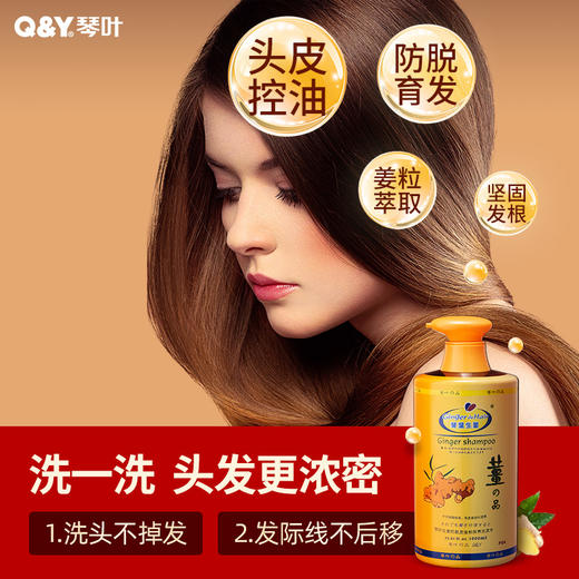 姜力四射——琴叶生姜洗发水 商品图1
