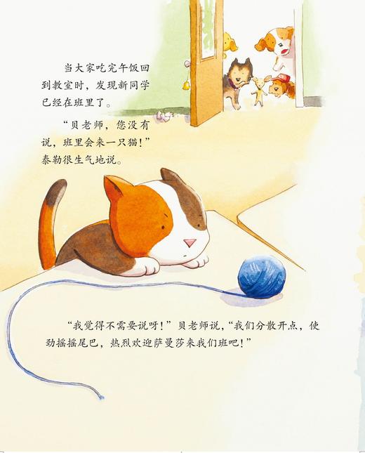 儿童情绪管理与性格培养绘本--班里来了一只猫：学会与人相处的故事 商品图2