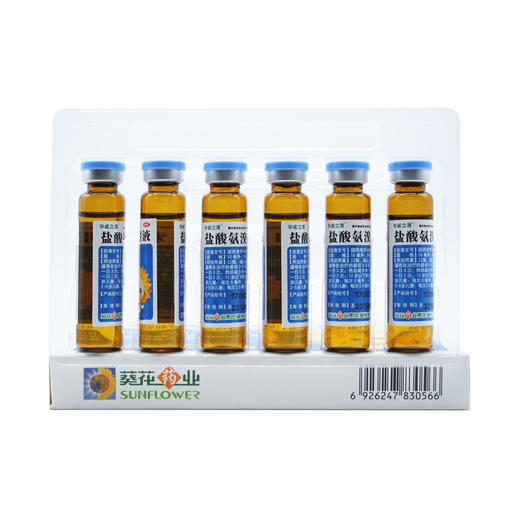 盐酸氨溴索口服溶液 10ml*6支  商品图2