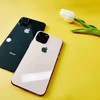 新版iPhone上架，10台秒杀，仅黑白蓝三色 商品缩略图3