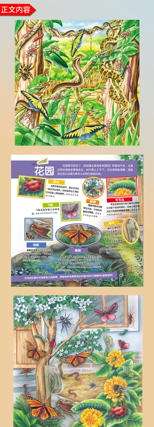 神奇魔法手电筒图书 商品图1