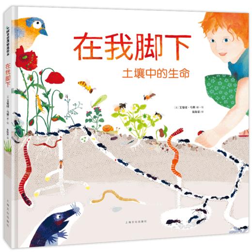 在我脚下，土壤中的生命 商品图0
