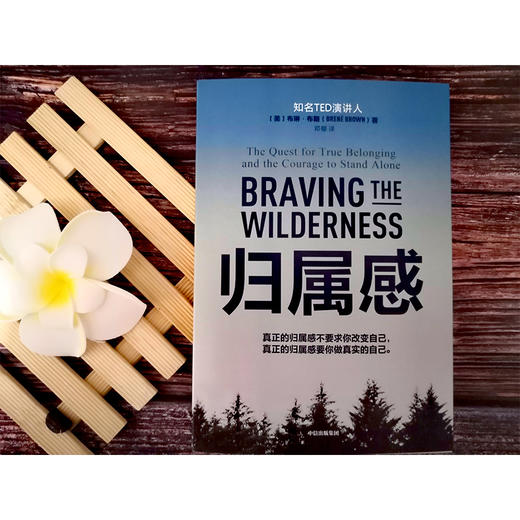 归属感 布琳布朗 著 TED演讲人 简里里作序 王建一推荐 自我挖掘 孤独与归属 中信出版社图书 正版书籍 商品图6