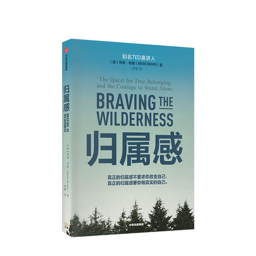 归属感 布琳布朗 著 TED演讲人 简里里作序 王建一推荐 自我挖掘 孤独与归属 中信出版社图书 正版书籍 商品图1
